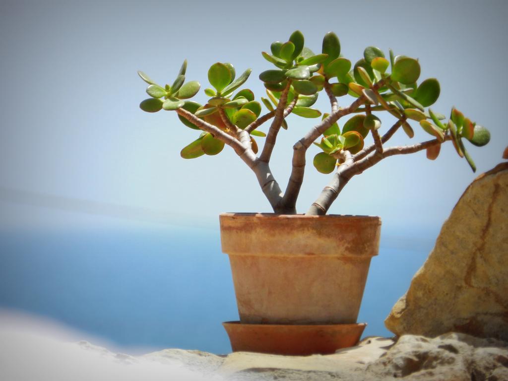 Appartamento Don Nino Lido di Noto エクステリア 写真